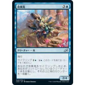 FOIL】マジックザギャザリング FIC JP 0001 ルーンナイト、セリス