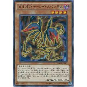 フラクチャー・FOIL】マジックザギャザリング DSK JP 0405