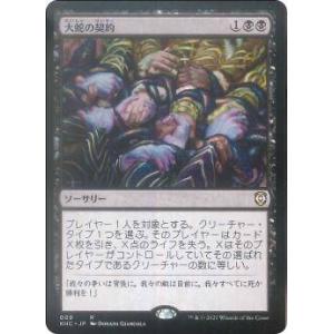マジックザギャザリング SLD JP 0805 エルフの神秘家 (日本語版 レア