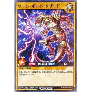 ポケモンカードゲーム 英語版 テーマデッキ【BLACK OUT