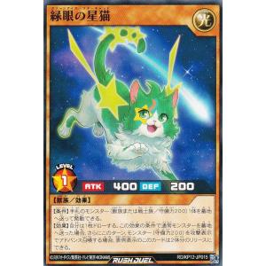 遊戯王 ラッシュデュエル RD/KP12-JP017 闇眼の破星猫 (日本語版 レア