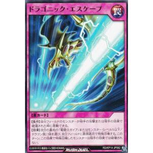 遊戯王 ラッシュデュエル RD/KP14-JP032 歴戦の暗黒騎士ガイア (日本語