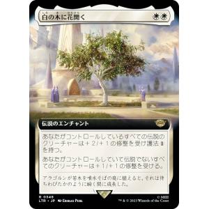 マジックザギャザリング SLD JP 1605 感動的な眺望所 (日本語版 レア