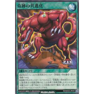 ゼクス Z/X B32-040 回遊する戦慄グラオザーム (N ノーマル) 夢装