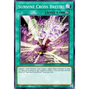 遊戯王　ドラゴンメイドラティス　スターライトレア　英語版　EU版　BLMM 遊戯王 BLMM-EN049 ドラゴンメイド・ラティス (英語版 1st Edition