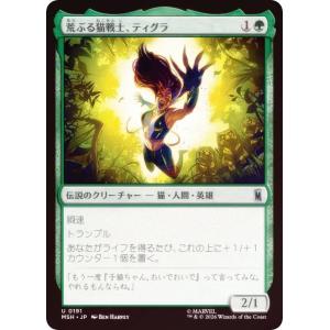 【FOIL】マジックザギャザリング MSH JP 0191 荒ぶる猫戦士、ティグラ (日本語版 アンコモン) (MTG)