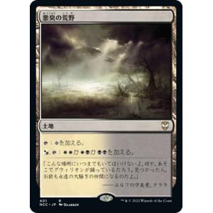 遊戯王オフィシャルカードゲーム デュエルモンスターズ LN-13 魂を
