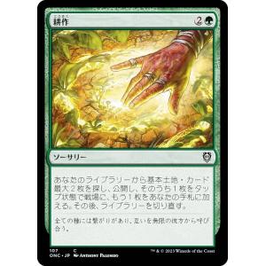 マジックザギャザリング FIN JP 0091 暗黒騎士、セシル / 覚醒の