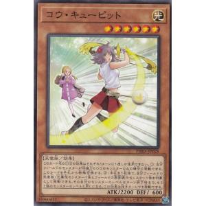 コナミデジタルエンタテインメント 遊戯王 第13期/SD48-JPP07 ジャンク