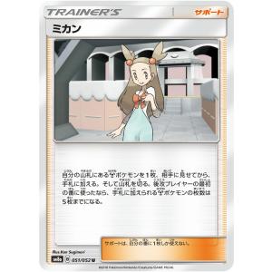 セキ　SR HR 各10枚　まとめ売り　サポート lead-netstore_s10d072204tt083