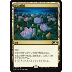 PROMO プロモ] デュエルマスターズ P108/Y23 メンデルスゾーン (R レア