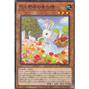 遊戯王 LOCH-JP028 S：Pリトルナイト (日本語版 プリズマティック