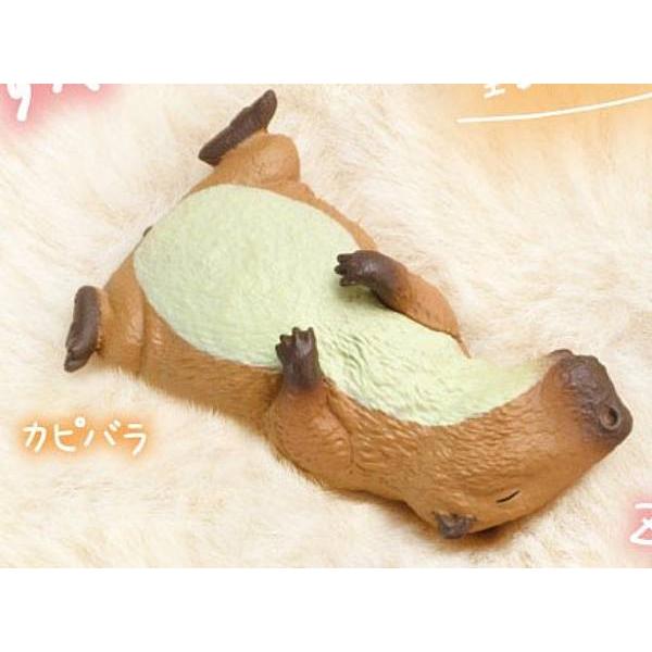 【カピバラ】すやすやおねむ
