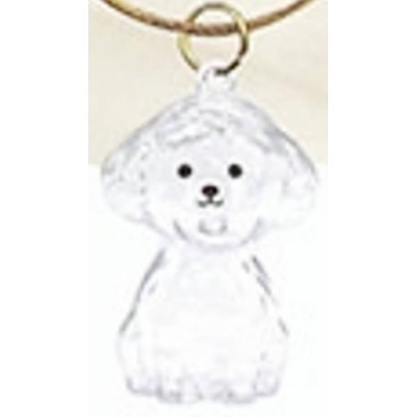 【むぎ】わんこのタイムカプセル