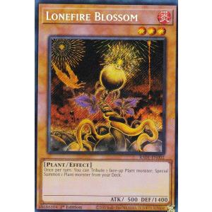 遊戯王 アームズ・エイド 418XEMKKeML._UF350,350_QL50_.jpg