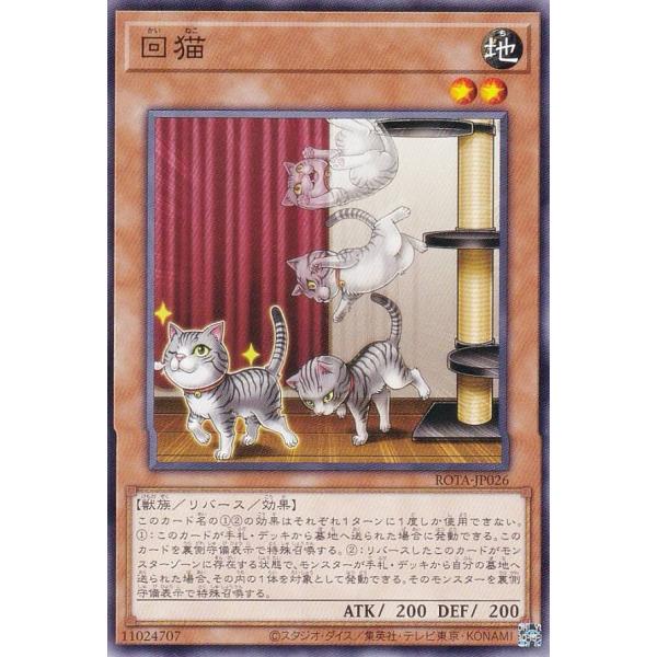 遊戯王 ROTA-JP026 回猫 (日本語版 ノーマル) レイジ・オブ・ジ・アビス