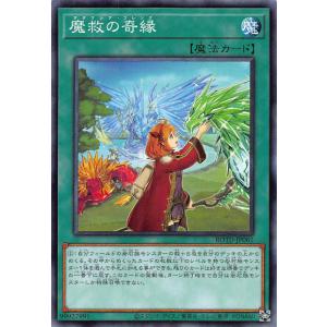 遊戯王オフィシャルカードゲーム デュエルモンスターズ 遊戯王カード