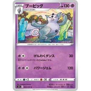 ポケモンカードゲーム 177/171 ジガルデEX （SR仕様） ハイクラス