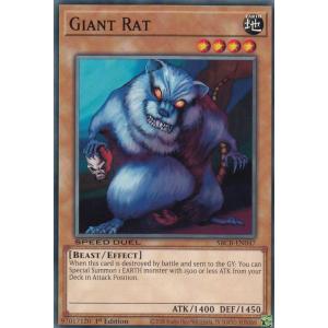 コナミデジタルエンタテインメント 遊戯王 中古ランクB(良い) CRV