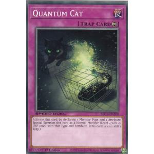 遊戯王 SBCB-EN200 量子猫 Quantum Cat (英語版 1st Edition ノーマル) Speed Duel: Battle City Box