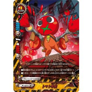 バディファイト S-SP04/S002 凶乱魔神竜 ヴァニティ・刻