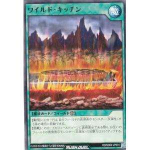 BBM2020 大相撲カード「新」 レギュラーカード No.19 炎鵬晃 : かーど