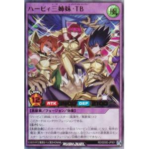 遊戯王 ラッシュデュエル RD/SD0D-JP0...の商品画像