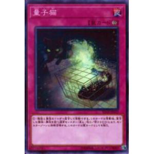 【プレイ用】遊戯王 SD32-JP037 量子猫(日本語版 ノーマル)【中古】