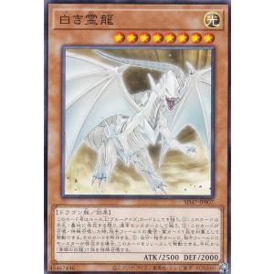 コナミデジタルエンタテインメント 遊戯王 第11期 SD40-JPP04 氷結界の