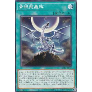 遊戯王オフィシャルカードゲーム デュエルモンスターズ 遊戯王カード