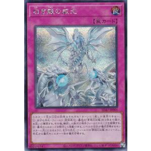 遊戯王 SD47-JPP05 白き龍の威光 (日本語版 シークレットレア) ストラクチャーデッキ −青き眼の光臨−｜lead-netstore