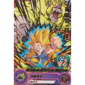 ドラゴンボールヒーローズ PBBS7-13 孫悟空：BR オフィシャル9