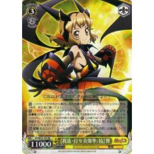 【DX CARD】ダイの大冒険 カードダス ダイ マァム lead-netstore_2312vj202310tt4