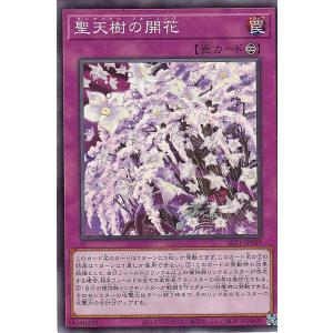 遊戯王 CORI-JP043 ぜんなのついなぎひめ (日本語版 シークレットレア