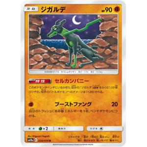 ポケモンカードゲーム 177/171 ジガルデEX （SR仕様） ハイクラス