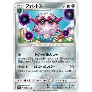 ポケモンカードゲーム 177/171 ジガルデEX （SR仕様） ハイクラス