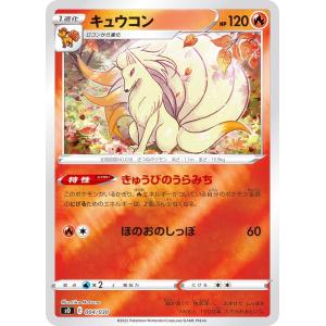 ボーダーレス版】マジックザギャザリング INR EN 0481 約束された終末