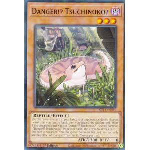 遊戯王 SR13-EN021 未界域のツチノコ Danger!? Tsuchinoko? (英語版 1st Edition ノーマル) Structure Deck: Dark World｜lead-netstore