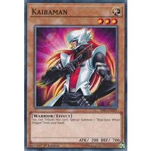 遊戯王オフィシャルカードゲーム デュエルモンスターズ 遊戯王