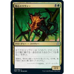 マジック:ザ・ギャザリング タルキール:龍嵐録 統率者デッキ