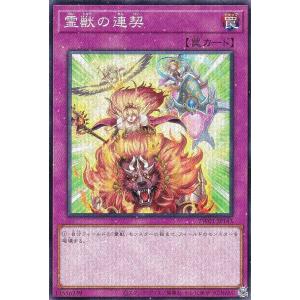 遊戯王オフィシャルカードゲーム デュエルモンスターズ 遊戯王カード