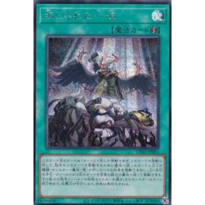 遊戯王 UT01-JP051 禁じられた一滴 (日本語版 シークレットレア)