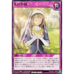 ファイアーエムブレム サイファ B18-007 皇女に仕える参謀 ヒュー