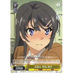 ブシロード 『新品即納』{TCG} (カートン) ボックス特典付(特製先攻後