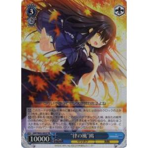 デュエルマスターズ トレカ 魔光神官ルドルフ・アルカディア