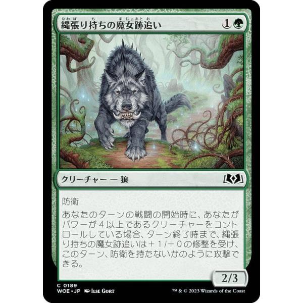 マジックザギャザリング WOE JP 0189 縄張り持ちの魔女跡追い (日本語版 コモン) エルド...