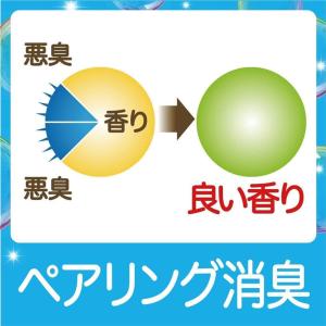 LK65 エステー お部屋の消臭力 玄関・リビ...の詳細画像4