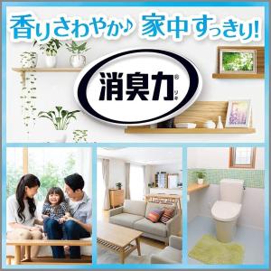 プレミア品 LJ36 エステー トイレの消臭力...の詳細画像3