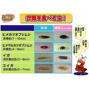 目玉特価 LD63 エステー ムシューダ 防虫...の詳細画像3