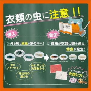 超目玉特価 LC78 エステー ムシューダ 1...の詳細画像4